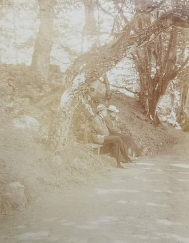 Original foto 1900 mann - original, herr