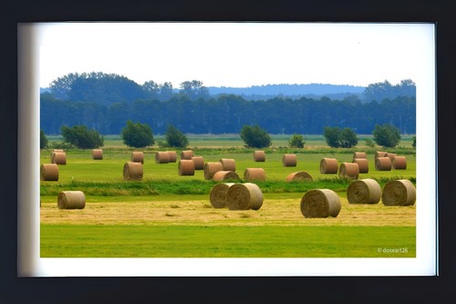 Fiener bruch fotografie - fiener, bruch/